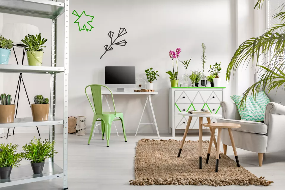 Làm mới ngôi nhà của bạn với các loại cây xanh