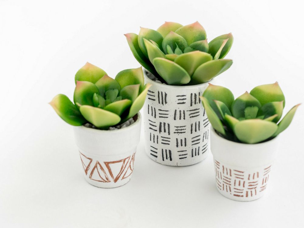 Trang trí nhà cửa thêm xinh với những chậu cây kiểng mini đầy màu sắc